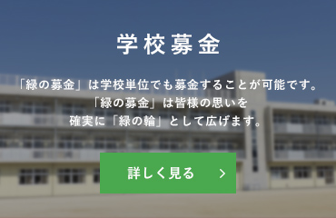 学校募金:「緑の募金」は学校単位でも募金することが可能です。「緑の募金」は皆様の思いを確実に「緑の輪」として広げます。