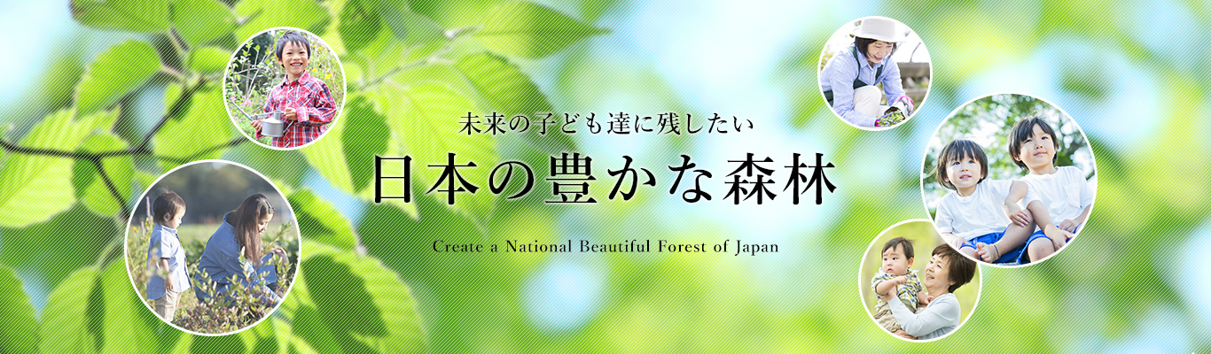 未来の子供たちに残したい日本の豊かな森林