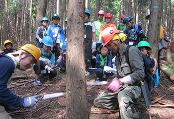 緑の少年団の学習活動